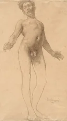 Nudo maschile in piedi