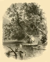 Ramo nord del Susquehanna, a Hunlocks, 1874