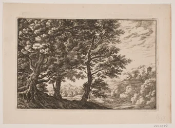 Paesaggio montuoso con grandi alberi