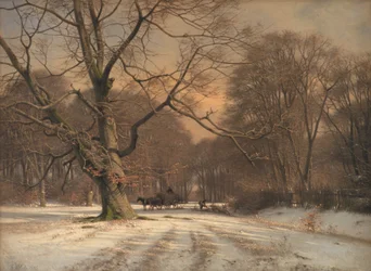 Paesaggio invernale. Motivo da Jægersborg Dyrehave