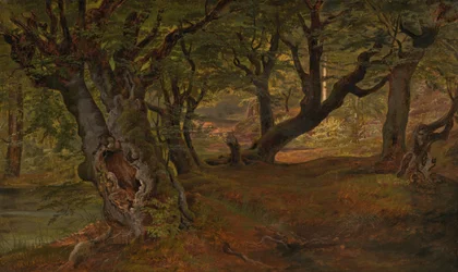 Vista della foresta di Bregentved, Sjaeeland, metà degli anni 1830