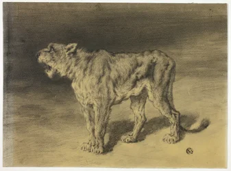 Il ruggito della leonessa