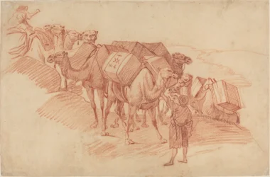 Carovana di cammelli