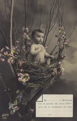 Bambino in un nido