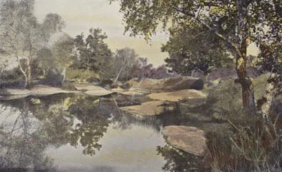 Fontainebleau, foresta, stagno di Franchard