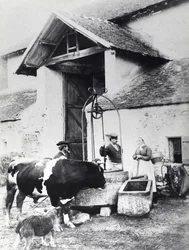 Contadini intorno a un pozzo, in un cortile di una fattoria, c.1860-70 (foto b/n)