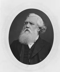 Ritratto di Henry Layard