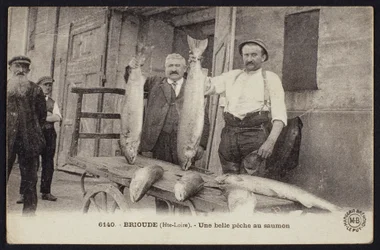 Cartolina raffigurante una buona pesca di salmoni a Brioude, Haute-Loire, c.1900