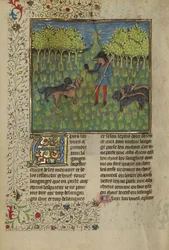Un cacciatore che addestra cani a rispondere al richiamo di un corno, c.1430-40