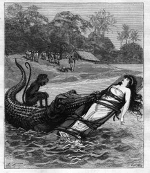 Un coccodrillo afferra una tavola di legno a cui è legata una donna. Illustrazione di "Viaggio intorno al mondo del marinaio Biribi" di Theodore Labourieu e Saint Vrin (Saint-Vrin). Incisione del 1880 in "La republique illustree" collezione privata.