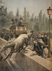 Un cavallo che si suicida, illustrazione da Le Petit Journal: Supplement illustré, 1898