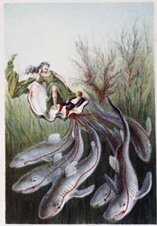 Una donna e un ragazzo su un carro trainato da squali - in "Viaggio al fondo del mare" di H. de la Blanchère. Parigi, ed. Jouvet et Cie, sd. 1880.