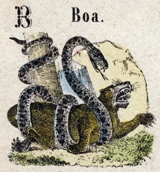 Abecedario. Lettera B come Boa. Piccolo alfabeto enciclopedico, serie popolare. Immagini di Epinal, fine XIX secolo
