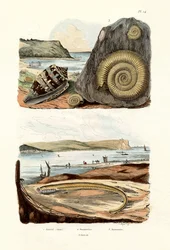 Ammiraglio Cone, 1833-39