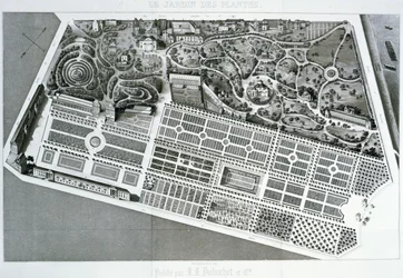 Veduta aerea del piano del Jardin des Plantes a Parigi, 1842