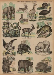 Animali del Jardin des Plantes, Parigi, Francia