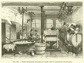 Officina di concia delle pelli al sommacco, per la preparazione del marocchino