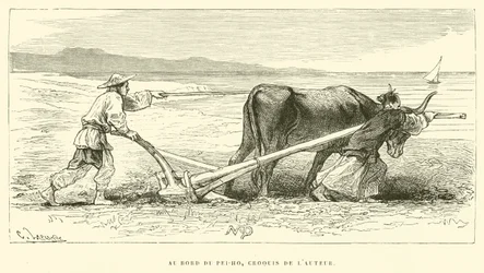 Au Bord du Pei-Ho, schizzo dell