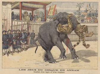 Battaglia tra un elefante e una tigre in un circo ad Annam, in Indocina (litografia a colori)