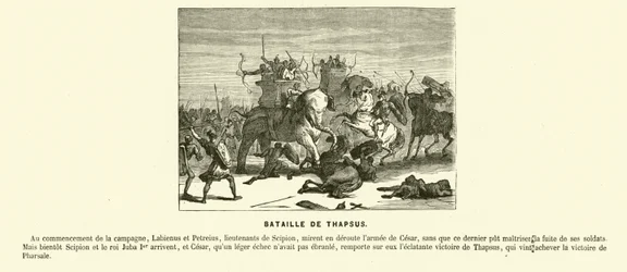 Battaglia di Tapso, Nord Africa, Guerra Civile di Cesare, 46 a.C. (incisione)