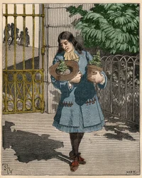 Bernard de Jussieu (1699-1777), botanico francese che porta due cedri dal Libano dall
