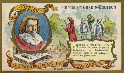 Bernard de Jussieu, naturalista francese