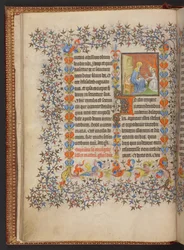 Libro d