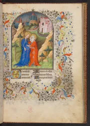 Libro d