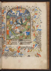 Libro d
