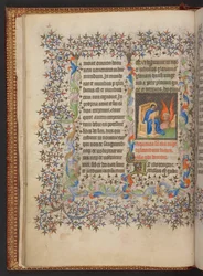 Libro d