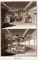 Birreria - "La Grande Encyclopedie, ou Dictionnaire Raisonne des Sciences, des Arts et des Metiers" (Enciclopedia o Dizionario delle Scienze, Arti e Professioni) di Denis Diderot (1713-1784) e Jean d