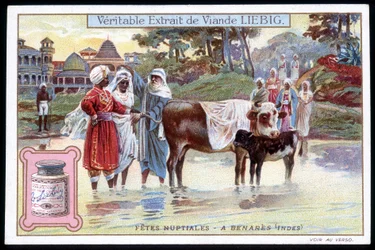 Feste nuziali a Benares, India - cromolitografia. Liebig, v. 1895