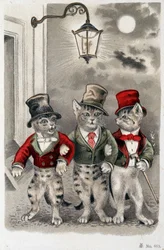 Gatti in situazione - cartolina inizio XX secolo