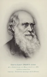 Charles Darwin (1809-1882), naturalista inglese (litografia)