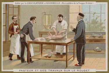 Carta commerciale Chocolat d