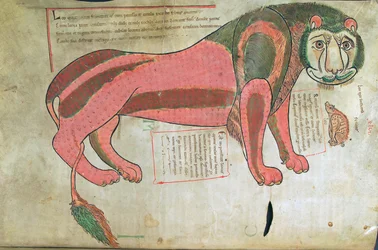 Cod. Guelf. 1 Gud. lat. (37v), Il Leone e il maiale, dal Liber Floridus di Lambert de Saint-Omer c.1120