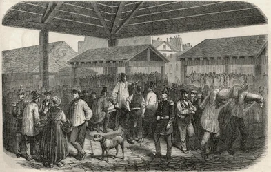 Grido della carne da macelleria al mercato di rue des Prouvaires nel I arrondissement di Parigi - Incisione in "Tableau-de-Paris" di Edmond Texier 1852