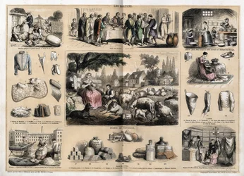 Descrizione dei vari usi e prodotti della pecora: tosatura delle pecore, agnello pasquale servito come piatto tradizionale a Pasqua, giovani lattai che fanno burro e formaggi; arazzi e prodotti di lana, tazze, pantofole, calze di lana, venduti in negozi di