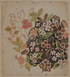 Disegno di design, inizio XVIII secolo