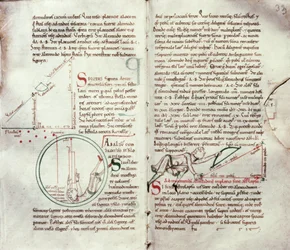 Diagrammi di misurazioni e testo