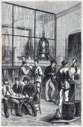 Negozio di distillatori a Parigi nel XIX secolo - Incisione in 