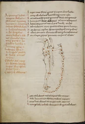 Disegno della costellazione dell
