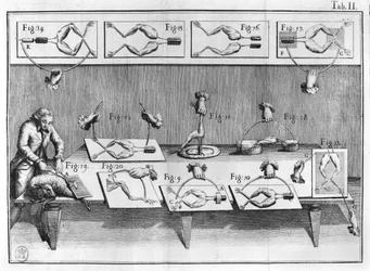 Esperimento sulle rane, illustrazione da De viribus electricitatis in motu muscumari