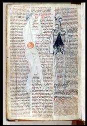 Un uomo e uno scheletro, da un trattato medico di Abul Qasim Khalaf ibn al-Abbas al-Zahrawi (Abulcasis) tradotto da Gerard de Cremone