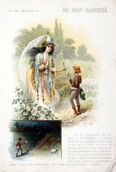 Fata Berliquette