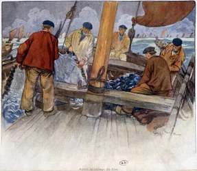Pescatori che svuotano una rete a bordo