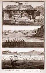 Pesca, aringhe e sardine - "La Grande Encyclopedie, ou Dictionnaire Raisonne des Sciences, des Arts et des Metiers" di Deni