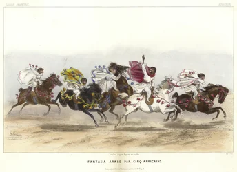 Cinque scimmie in costume a cavallo