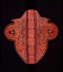 Copertina di un Libro d