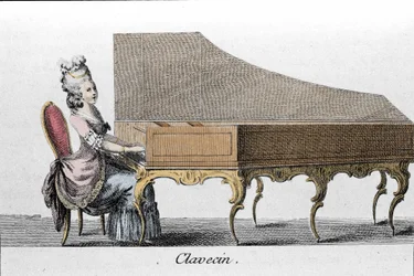 Suonatore di clavicembalo (Clavicembalo, cembalo).